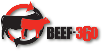 Beef-360